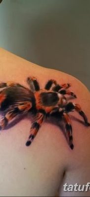 fotó egy tarantula tetoválásról, dátum: 2017.11.21. №020 - tetoválás tarantula -