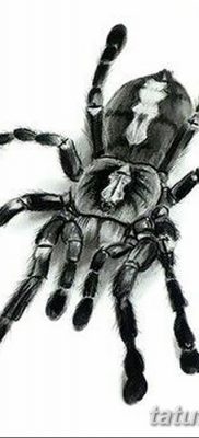 fotó egy tarantula tetoválásról, dátum: 2017.11.21. №027 - tetoválás tarantula -