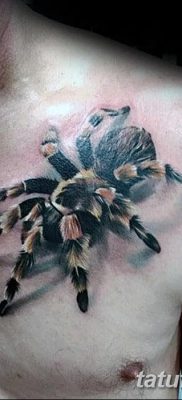 fotó egy tarantula tetoválásról, dátum: 2017.11.21. №035 - tetoválás tarantula -