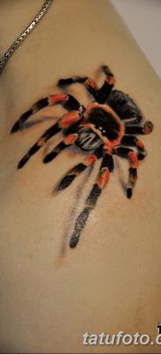 fotó egy tarantula tetoválásról, dátum: 2017.11.21. №044 - tarantula tetoválás -