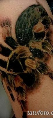 fotó egy tarantula tetoválásról, dátum: 2017.11.21. №046 - tarantula tetoválás -
