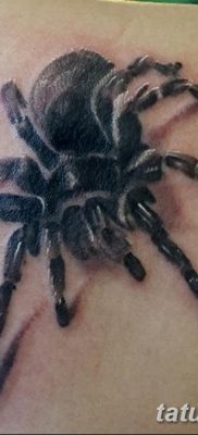 fotó egy tarantula tetoválásról, dátum: 2017.11.21. №049 - tarantula tetoválás -