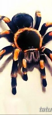 fotó egy tarantula tetoválásról, dátum: 2017.11.21. №052 - tetoválás tarantula -