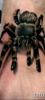 fotó egy tarantula tetoválásról, dátum: 2017.11.21. №053 - tarantula tetoválás -
