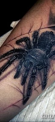fotó egy tarantula tetoválásról, dátum: 2017.11.21. №056 - tetoválás tarantula -