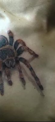 fotó egy tarantula tetoválásról, dátum: 2017.11.21. №065 - tarantula tetoválás -