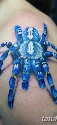 fotó egy tarantula tetoválásról, dátum: 2017.11.21. №066 - tarantula tetoválás -