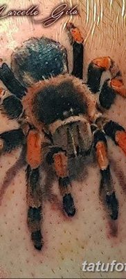 fotó egy tarantula tetoválásról, dátum: 2017.11.21. №067 - tarantula tetoválás -