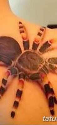 fotó egy tarantula tetoválásról, dátum: 2017.11.21. №069 - tarantula tetoválás -