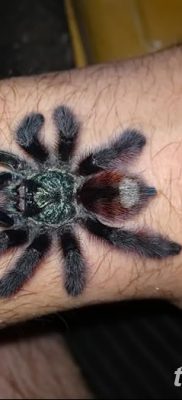 fotó egy tarantula tetoválásról, dátum: 2017.11.21. №070 - tetoválás tarantula -