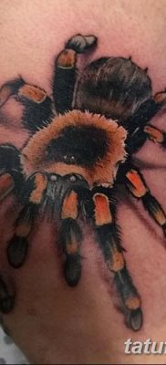 fotó egy tarantula tetoválásról, dátum: 2017.11.21. №072 - tarantula tetoválás -
