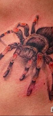 fotó egy tarantula tetoválásról, dátum: 2017.11.21., №075 - tarantula tetoválás -