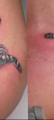 fotó egy tarantula tetoválásról, dátum: 2017.11.21. №078 - tarantula tetoválás -