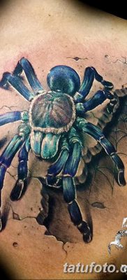 fotó egy tarantula tetoválásról, dátum: 2017.11.21. №079 - tarantula tetoválás -