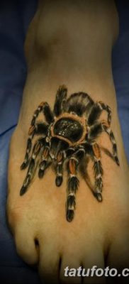 fotó egy tarantula tetoválásról, dátum: 2017.11.21 №080 - tetoválás tarantula -