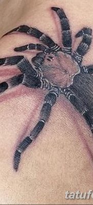 fotó egy tarantula tetoválásról, dátum: 2017.11.21. №083 - tarantula tetoválás -