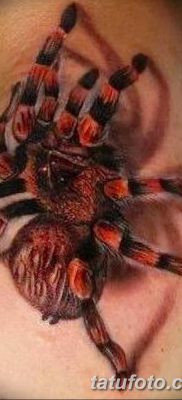fotó egy tarantula tetoválásról, kelt 2017.11.21 -én №095 - tarantula tetoválás -