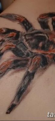 fotó egy tarantula tetoválásról, dátum: 2017.11.21. №099 - tarantula tetoválás -