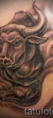 Fotó a Bika tetoválásról a Bika mintájú tetoválás jelentését bemutató cikkhez - tatufoto.ru - 42