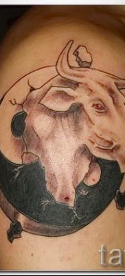 Fotó a Bika tetoválásról a Bika mintájú tetoválás jelentését bemutató cikkhez - tatufoto.ru - 39