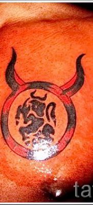 foto-tatu-telec-dlya-stati-pro-znachenie-tatuirovki-s-risunkom-telec-018-tatufoto-ru