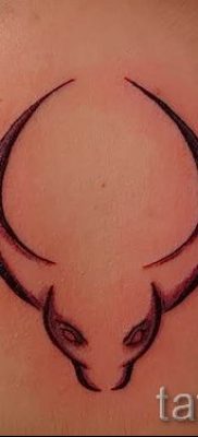 foto-tatu-telec-dlya-stati-pro-znachenie-tatuirovki-s-risunkom-telec-015-tatufoto-ru