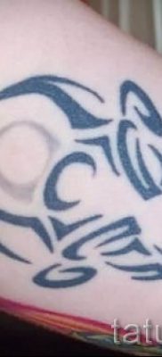 foto-tatu-telec-dlya-stati-pro-znachenie-tatuirovki-s-risunkom-telec-012-tatufoto-ru