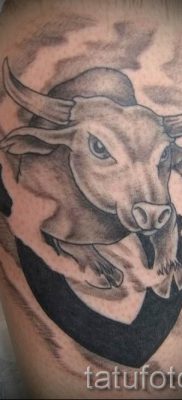 foto-tatu-telec-dlya-stati-pro-znachenie-tatuirovki-s-risunkom-telec-001-tatufoto-ru