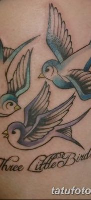 fotó a három fecske tetoválásról, kelte: 2017.09.24., 002 - három fecske tetoválás -