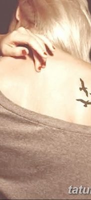 fotó a három fecske tetoválásról, kelte: 2017.09.24., 003 - három fecske tetoválás -