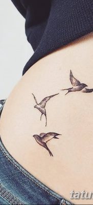 fotó a három fecske tetoválásról, kelte: 2017.09.24., 004 - három fecske tetoválás -