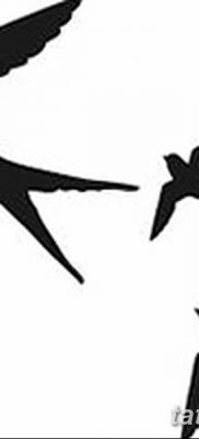 fotó egy tetoválásról, három fecske, kelt 2017.09.04., 006 - három fecske tetoválás -