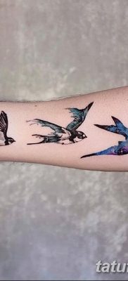 fotó a három fecske tetoválásról, 2017. 09. 24 -én, 007 - három fecske tetoválás -