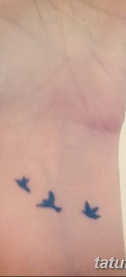 fotó három fecske tetoválásról, 2017.09.04., №013 - három fecske tetoválás -