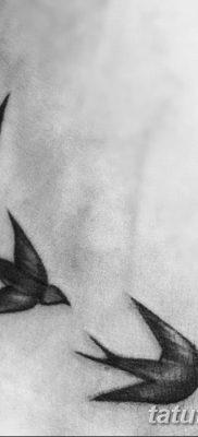 fotó egy tetoválásról, három fecske, kelt 2017.09.04., 016 - három fecske tetoválás -