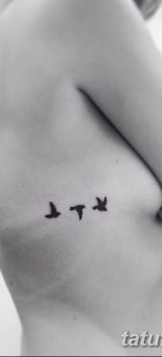 fotó három fecske tetoválásról, 2017. 09. 24 -én, 018 - három fecske tetoválás -
