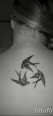 fotó a három fecske tetoválásról, kelte: 2017.09.04., 020 - három fecske tetoválás -