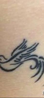fotó a három fecske tetoválásról, 2017. 09. 24 -én, 023 - három fecske tetoválás -