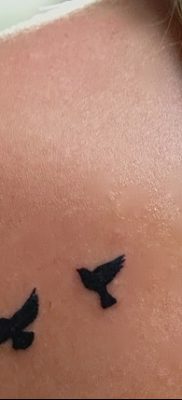 fotó egy tetoválásról, három fecske, keltezés 2017.09.04. №026 - három fecske tetoválás -