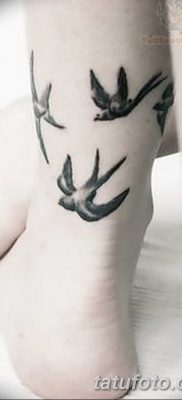 fotó a három fecske tetoválásról, 2017. 09. 24 -én, 027 - három fecske tetoválás -