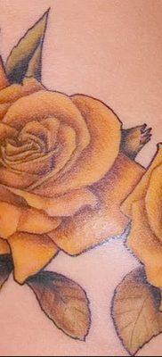 fotó három rózsatetoválásról, dátum: 2017.08.01 №111 - Három rózsás tetoválás -