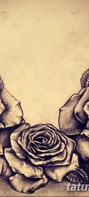 fotó három rózsatetoválásról, dátum: 2017.08.01 №046 - Három rózsás tetoválás -