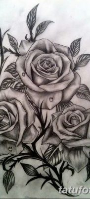 fotó három rózsatetoválásról, dátum: 2017.08.01 №066 - Három rózsás tetoválás -