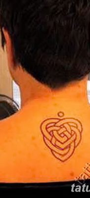 fotó a tetoválásról Trikvetra, kelt 2017.11.26 -án №016 - tetoválás Trikvetra -