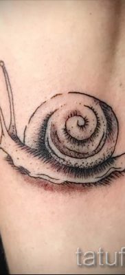 csigatetoválás fotó - példa a tetoválásra a tetoválás jelentését bemutató cikkhez - tatufoto.ru - 67
