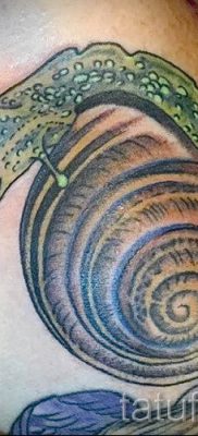 csigatetoválás fotó - egy példa a tetoválásra a tetoválás jelentését bemutató cikkhez - tatufoto.ru - 66