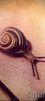 csigatetoválás fotó - egy példa a tetoválásra a tetoválás jelentését bemutató cikkhez - tatufoto.ru - 61