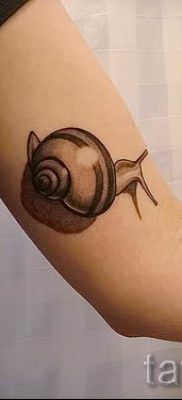 csigatetoválás fotó - egy példa a tetoválásra a tetoválás jelentését bemutató cikkhez - tatufoto.ru - 58