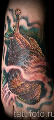 csigatetoválás fotó - egy példa a tetoválásra a tetoválás jelentését bemutató cikkhez - tatufoto.ru - 57