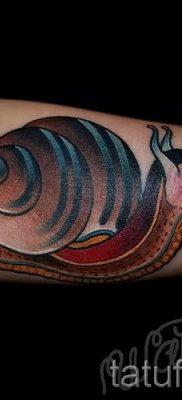 csigatetoválás fotó - egy példa a tetoválásra a tetoválás jelentését bemutató cikkhez - tatufoto.ru - 54